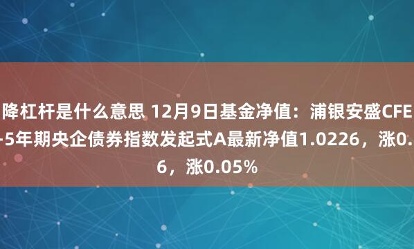 降杠杆是什么意思 12月9日基金净值：浦银安盛CFETS0-5年期央企债券指数发起式A最新净值1.0226，涨0.05%