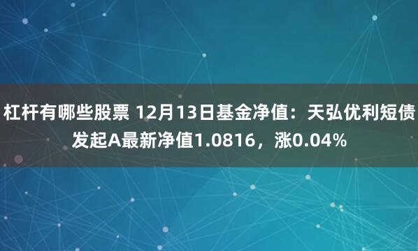 杠杆有哪些股票 12月13日基金净值：天弘优利短债发起A最新净值1.0816，涨0.04%