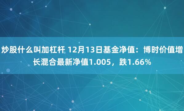 炒股什么叫加杠杆 12月13日基金净值：博时价值增长混合最新净值1.005，跌1.66%