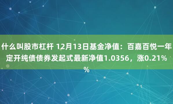 什么叫股市杠杆 12月13日基金净值：百嘉百悦一年定开纯债债券发起式最新净值1.0356，涨0.21%