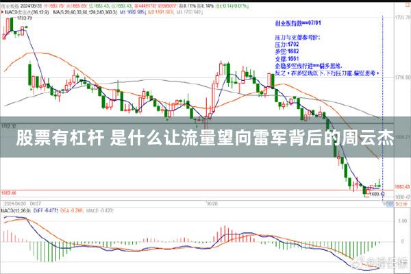 股票有杠杆 是什么让流量望向雷军背后的周云杰