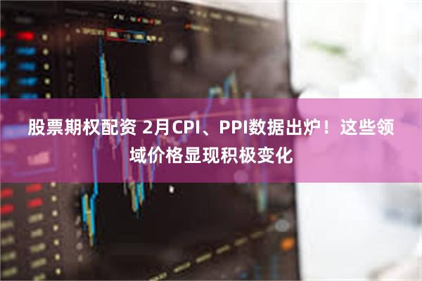 股票期权配资 2月CPI、PPI数据出炉！这些领域价格显现积极变化