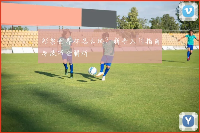 彩票世界杯怎么玩？新手入门指南与技巧全解析